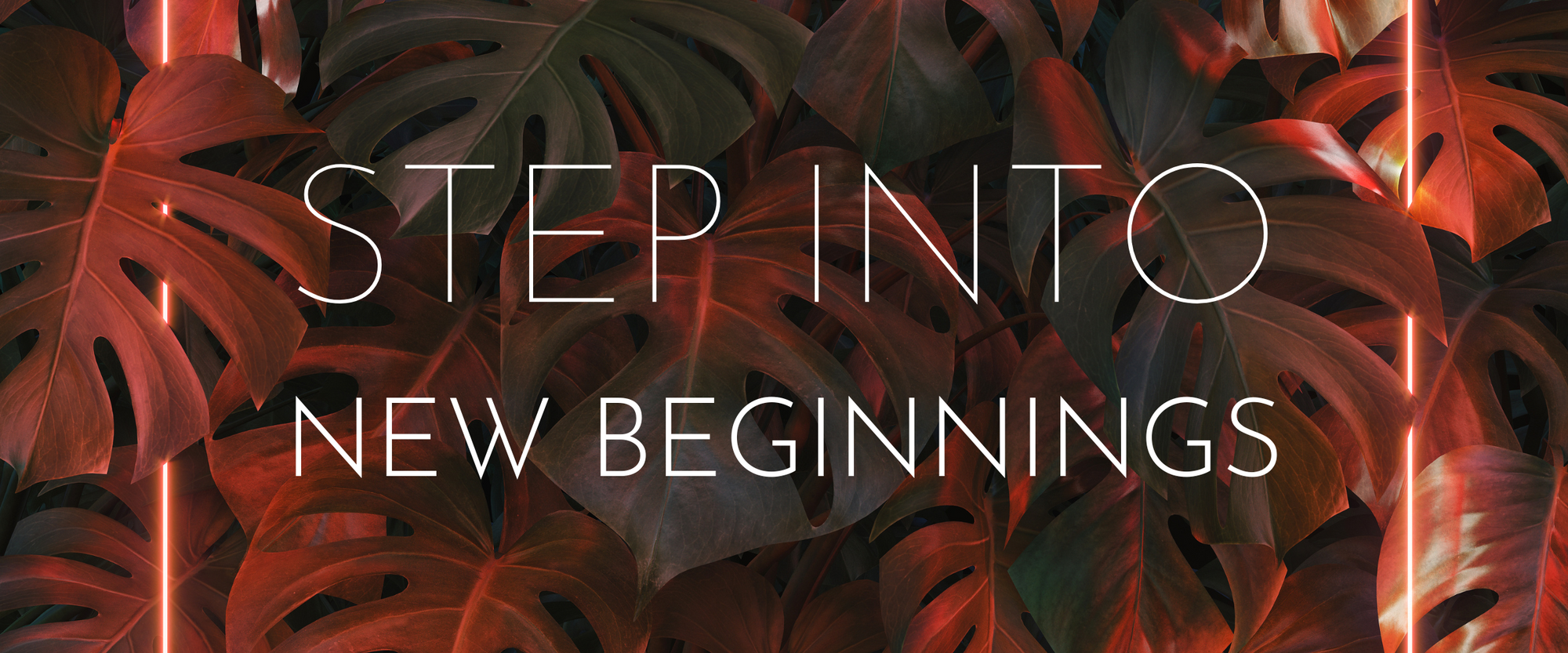Step into New Beginnings with us...